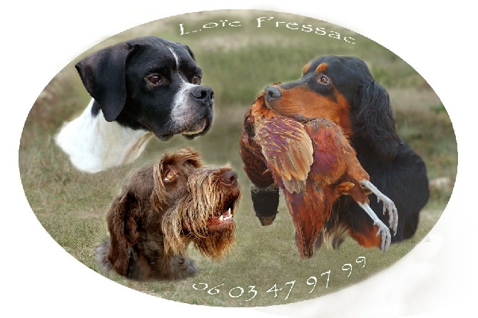 de la Bardelierre - FIELDS-TRIALS Automne 2014 c'est parti: