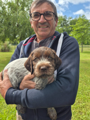 BROWNY de la Barde Lierre